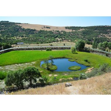 Lais Puzzle - Die schwimmenden Inseln in Bingol, Türkei, sind kleine Inselchen in einem kleinen Teich - 1.000 Teile
