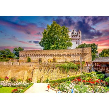 Lais Puzzle - Burg am Rhein, Eltville am Rhein, Hessen, Deutschland - 1.000 Teile