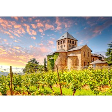 Lais Puzzle - Klosterkirche Rheingau, Rüdesheim, Hessen, Deutschland - 1.000 Teile