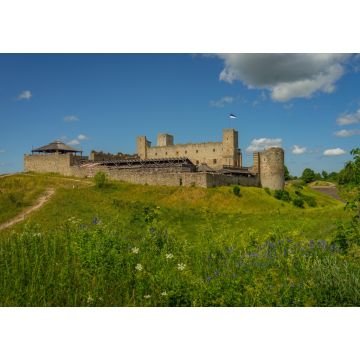 Lais Puzzle - Ruinen der Burg Rakvere, Estland - 1.000 Teile