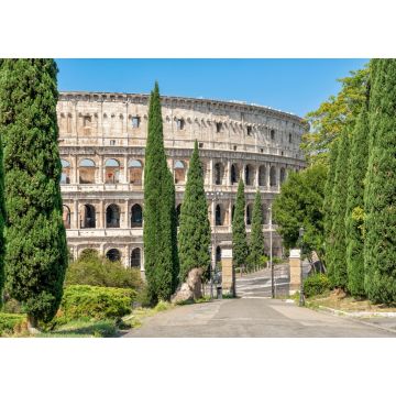 Lais Puzzle - Teilansicht des Kolloseums in Rom vom Parco del Celio her - 1.000 Teile