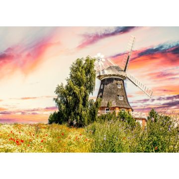 Lais Puzzle - Windmühle Klütz, Mecklenburg Vorpommern, Deutschland - 1.000 Teile