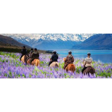 Lais Puzzle - Reisende reiten auf Pferden durch ein Lupinenfeld mit Blick auf die wunderschöne Landschaft des Mt Cook National Park in Neuseeland. Die Lupinen stehen im Dezember bis Januar, dem neuseeländischen Sommer, in voller Blüte - 2.000 Teile
