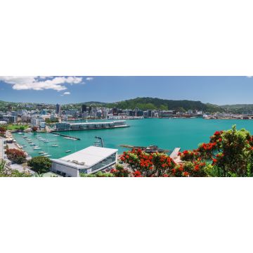 Lais Puzzle - Stadt, Gebäude und Hafen von Wellington vom Mount Victoria aus gesehen mit einem im Sommer blühenden Pohutukawa-Baum im Vordergrund. Wellington ist die Hauptstadt Neuseelands - 2.000 Teile
