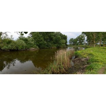Lais Puzzle - Fluss Evros im Evros-Delta, Grenze zwischen Griechenland und der Türkei (Griechisch-türkisches Grenzgebiet) - Fluss Evros im Evros-Delta (griechisch-türkisches Grenzgebiet) - 2.000 Teile