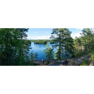 Lais Puzzle - Sommerliche Seeszene am Wanderweg im Teijo-Nationalpark, Salo, Finnland. Bäume und der Matildajarvi-See - 2.000 Teile