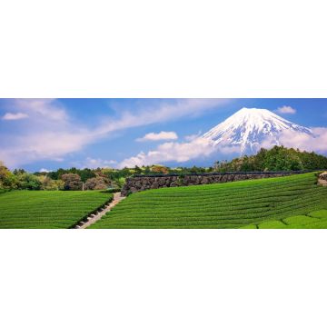Lais Puzzle - Berg Fuji und Teefelder in Japan - 2.000 Teile