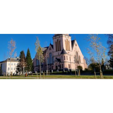 Lais Puzzle - Rosa Kirche von Kemi Finnland - 2.000 Teile
