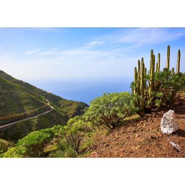 Lais Puzzle - Sendero Arena Blanca, Artenara, Gran Canaria - 1.000 Teile