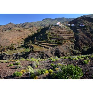 Lais Puzzle - Alojera im Westen von La Gomera - 1.000 Teile