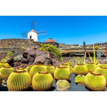 Lais Puzzle - Guatiza, Lanzarote - 1.000 Teile