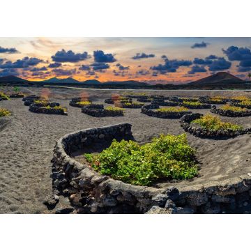 Lais Puzzle - La Geria Weinberg, Lanzarote - 1.000 Teile