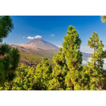 Lais Puzzle - Vulkan Teide - Aussicht von Mirador La Crucita, Teneriffa - 1.000 Teile