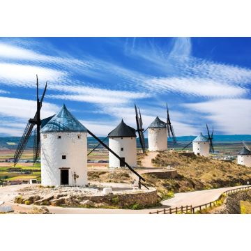 Lais Puzzle - Campo de Criptana, La Mancha - 1.000 Teile