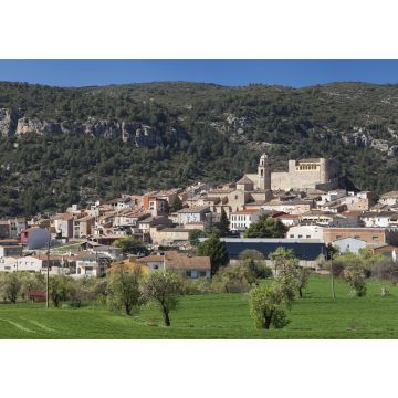 Lais Puzzle - Lleida, Spanien - 1.000 Teile