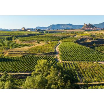 Lais Puzzle - Weinberg, La Rioja - 1.000 Teile