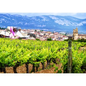 Lais Puzzle - Elciego, Rioja, Spanien - 1.000 Teile