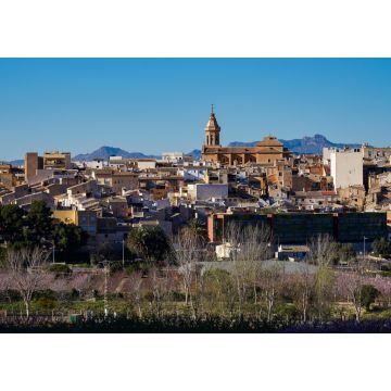 Lais Puzzle - Cieza, Murcia - 1.000 Teile
