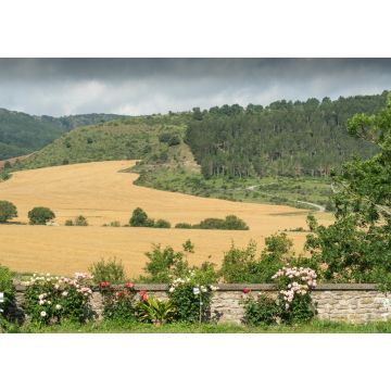 Lais Puzzle - Goñi, Navarra, im Merindad Estella - 1.000 Teile