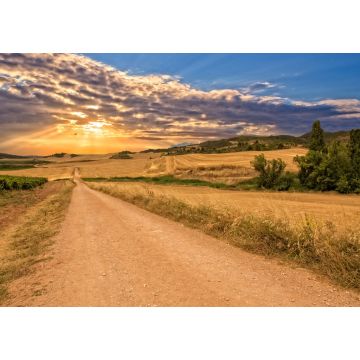 Lais Puzzle - Sonnenuntergang auf dem Weg nach Santiago in Navarra - 1.000 Teile