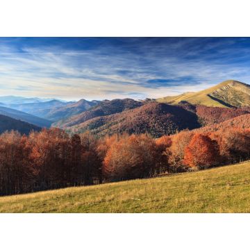 Lais Puzzle - Dschungel von Irati, Navarra - 1.000 Teile
