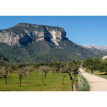 Lais Puzzle - Naturgebiet der Sierra de Tramuntana, Mallorca - 1.000 Teile