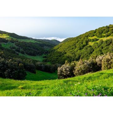 Lais Puzzle - El Hierro - 1.000 Teile