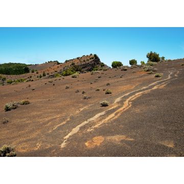 Lais Puzzle - Hoya de Fireba, El Hierro - 1.000 Teile