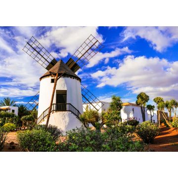 Lais Puzzle - Fuerteventura - traditionelle Windmühle im Dorf Antigua - 1.000 Teile