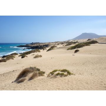 Lais Puzzle - Dunas de Corralejo, Fuerteventura - 1.000 Teile