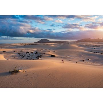 Lais Puzzle - Dunas de Corralejo, Fuerteventura - 1.000 Teile