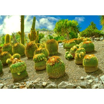 Lais Puzzle - La Oliva, Fuerteventura - 1.000 Teile