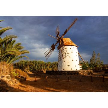 Lais Puzzle - El Roque Windmühle in Fuerteventura - 1.000 Teile