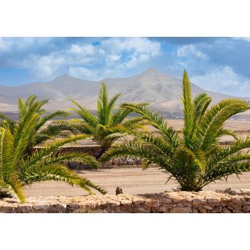 Lais Puzzle - Molino de Tefia, Fuerteventura - 1.000 Teile