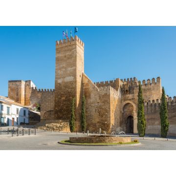 Lais Puzzle - Sevilla-Tor und Turm in Carmona, Sevilla - 1.000 Teile