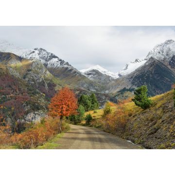 Lais Puzzle - Herbstszene im Tal von Bujaruelo, Provinz Huesca, Spanien - 1.000 Teile