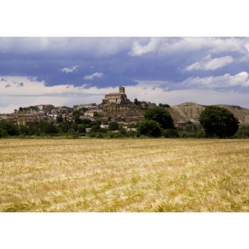 Lais Puzzle - Dorf Agon, Provinz Zaragoz, Aragonien, Spanien - 1.000 Teile