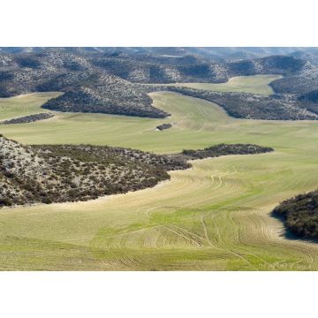 Lais Puzzle - Ackerland zwischen trockenen Hügeln in der Provinz Zaragoza, Aragon in Spanien - 1.000 Teile