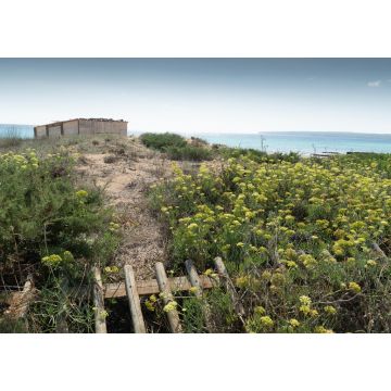 Lais Puzzle - Sant Ferran de ses Roques, Formentera Balearen Spanien  - 1.000 Teile