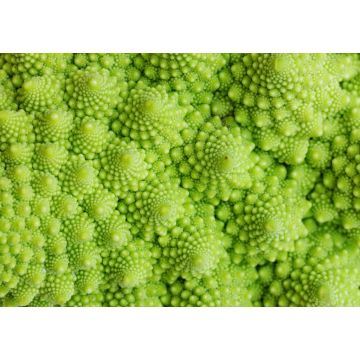 Lais Puzzle - Grünes Gemüse, Unmöglich - 1.000 Teile