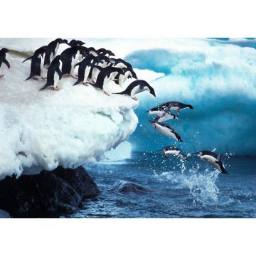 Lais Puzzle - Pinguine - 1.000 Teile