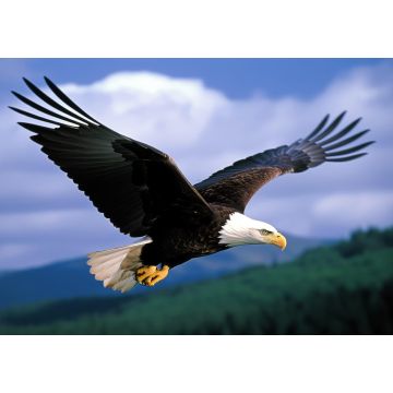 Lais Puzzle - Weißkopfseeadler - 1.000 Teile