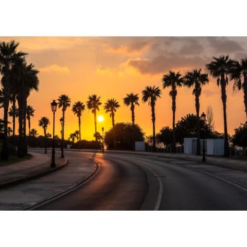 Lais Puzzle - Schöner Sonnenuntergang an einer palmengesäumten Küstenstraße von Conil de la Frontera in Südspanien - 1.000 Teile