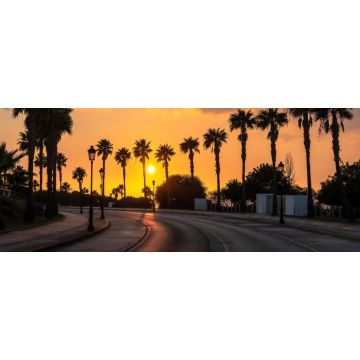 Lais Puzzle - Schöner Sonnenuntergang an einer palmengesäumten Küstenstraße von Conil de la Frontera in Südspanien - 2.000 Teile