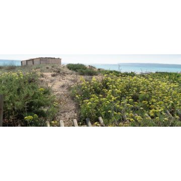 Lais Puzzle - Sant Ferran de ses Roques, Formentera Balearen Spanien  - 2.000 Teile