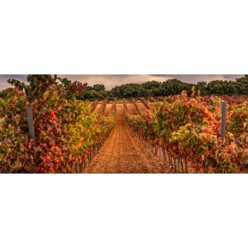 Lais Puzzle - Weinberg, La Rioja - 2.000 Teile