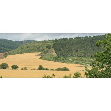 Lais Puzzle - Goñi, Navarra, im Merindad Estella - 2.000 Teile