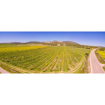 Lais Puzzle - Moli des Porques, Weinberge Mesquida Mora, Porreres, Mallorca - 2.000 Teile