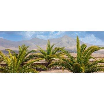 Lais Puzzle - Molino de Tefia, Fuerteventura - 2.000 Teile