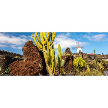 Lais Puzzle - Guatiza, Lanzarote - 2.000 Teile
